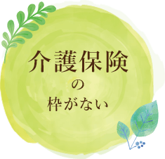 介護保険の枠がない